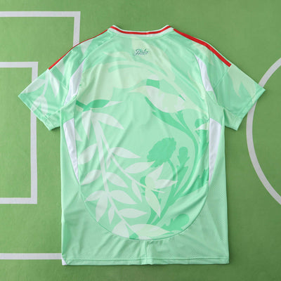 Italy 25-26 Away Shirt